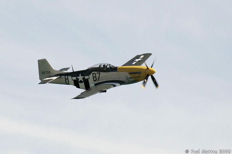  A8V8699 P-51 Mustang